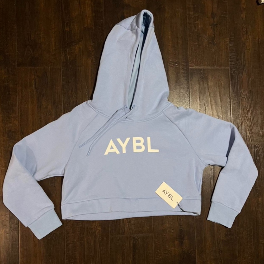 AYBL Baby Blue “Staple” Cropped Hoodie - Picture 2 of 6